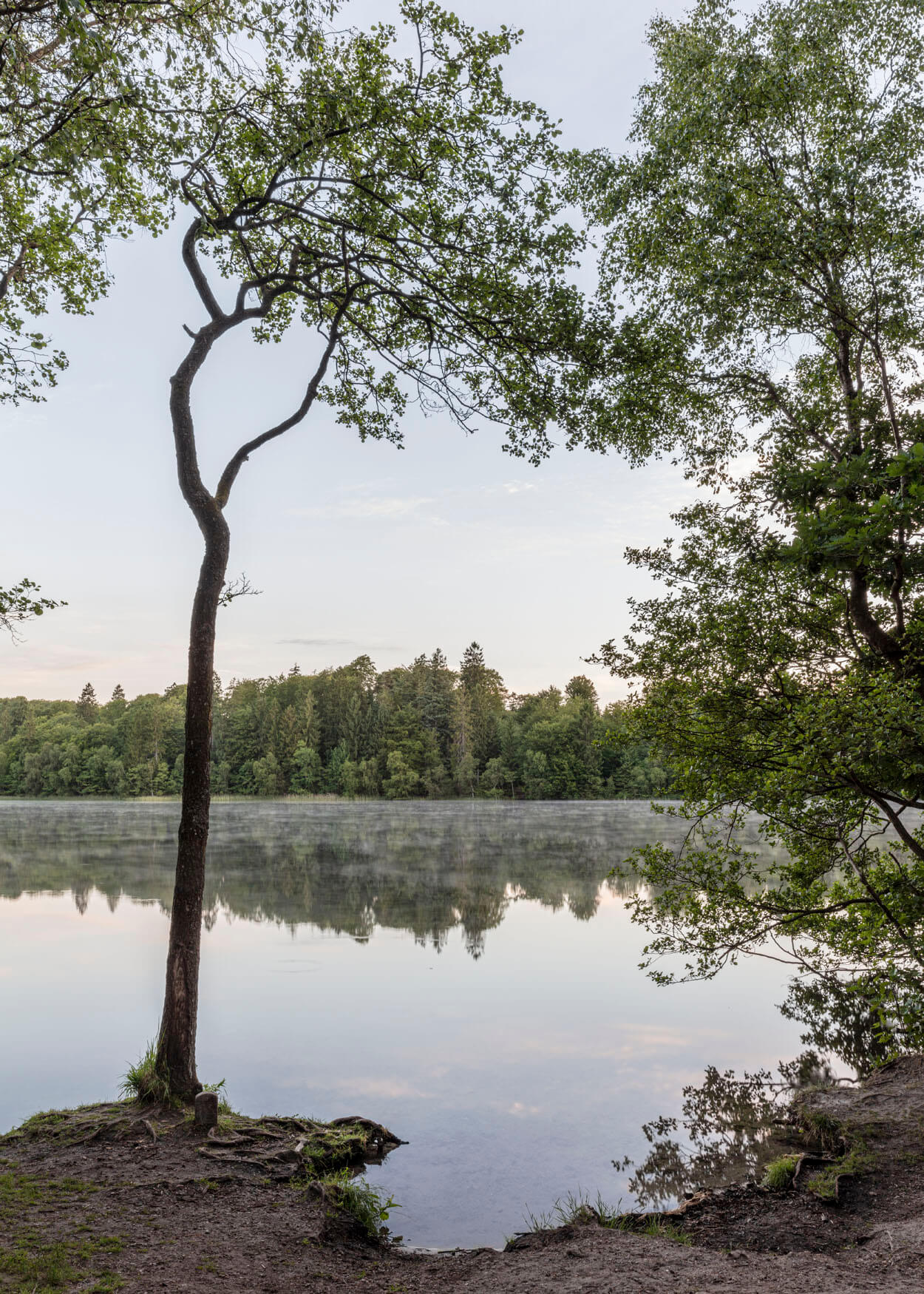 Slåensø - Oplev udsigten ved Silkeborgsøerne