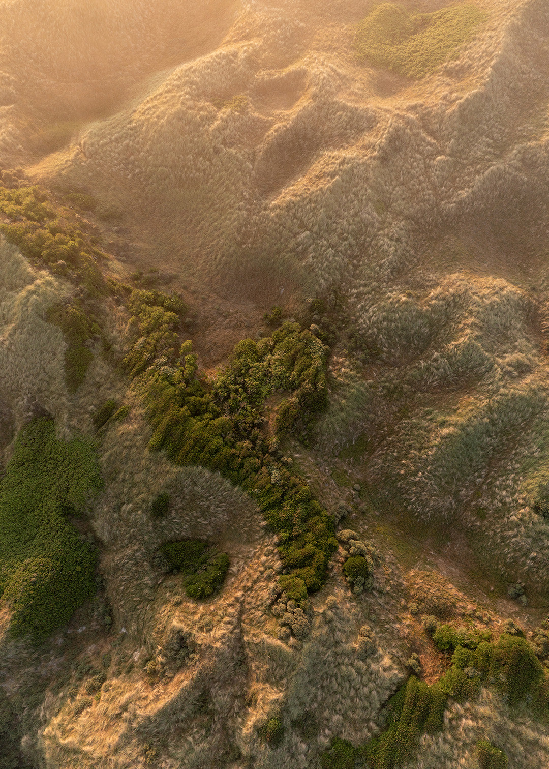 Fotografi med klitlandskab