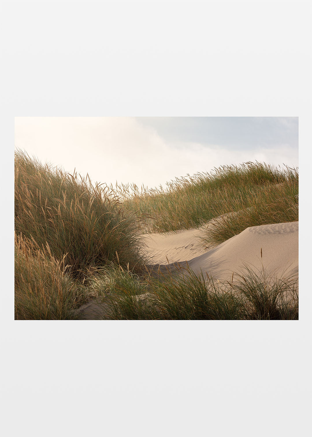Sommer klitter plakat