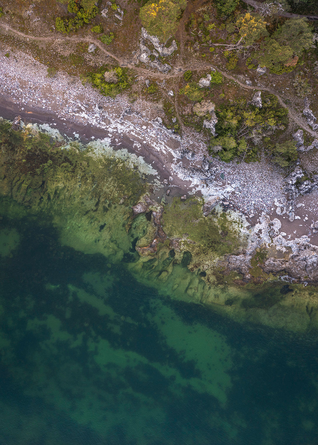 Dronefoto af Folhammar raukområde nord for Ljugarn, Gotland, Sverige – Foto Factory