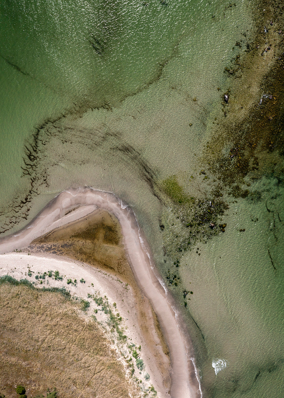 Dronefoto af Austre Strand og tangen mod Heligholmen, Gotland – Foto Martin Bay