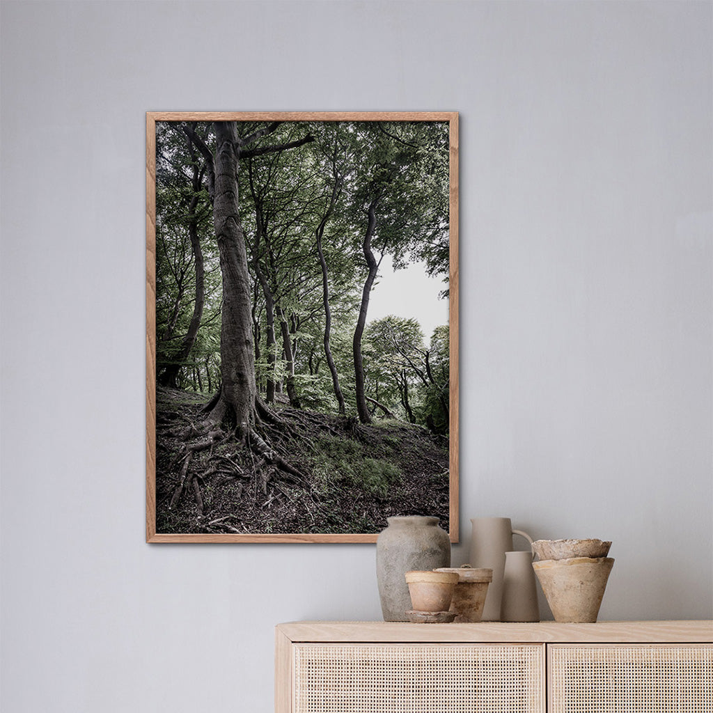 Skov plakat, skovplakater