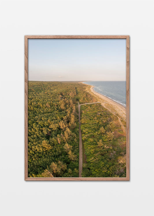 Tisvilde kyst og skov plakat - Foto Factory