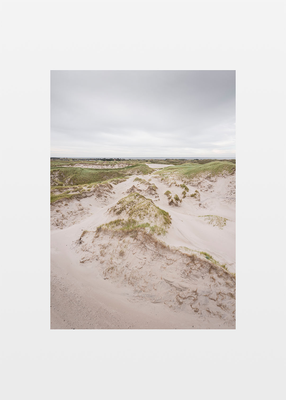 Hvide Sande plakat med lyse klitter og grønt klitgræs ved Vestkysten