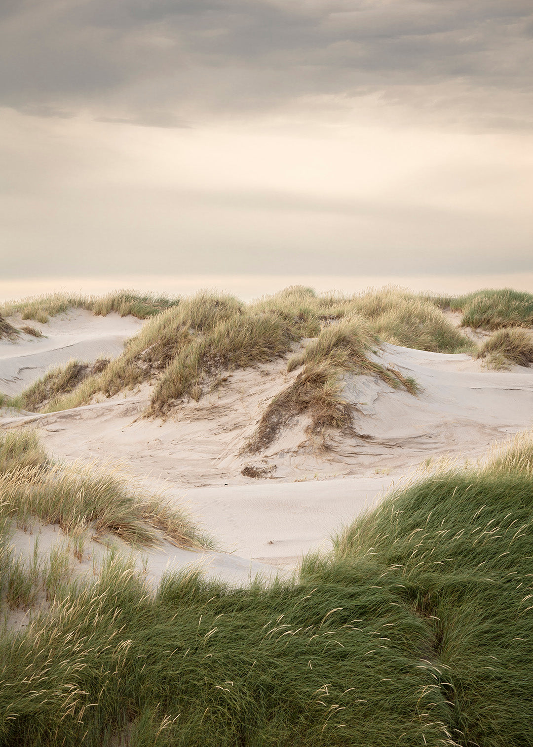 Vestkystens klitter med sand, grønt græs og rolig himmel ved Hvide Sande