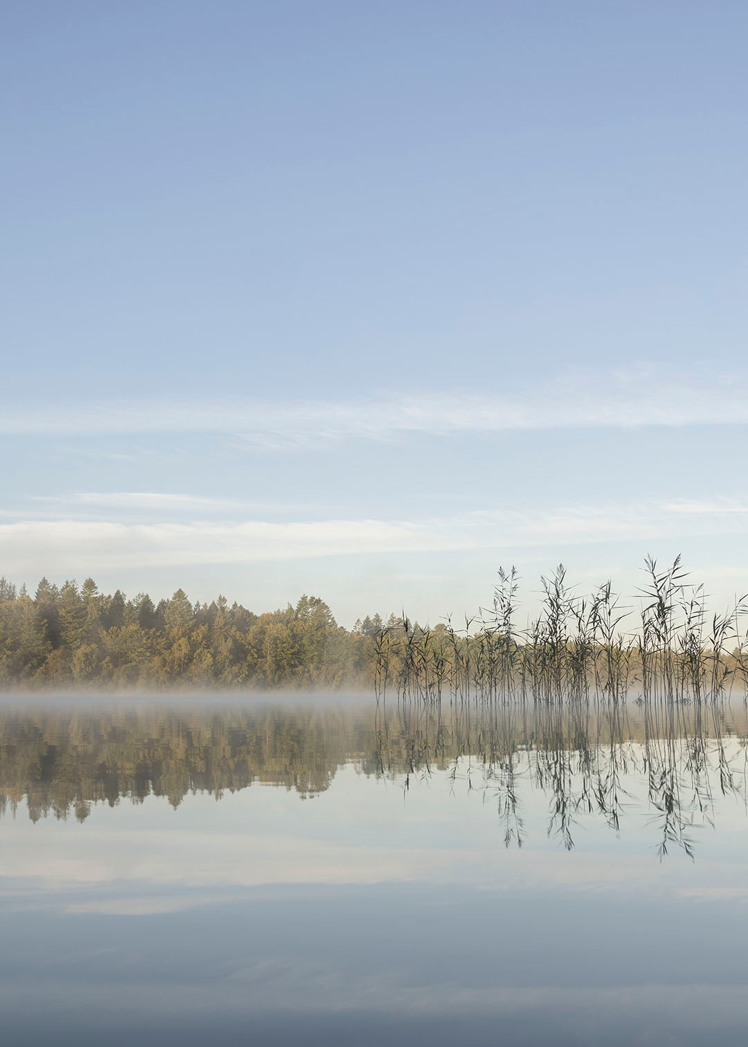 Naturfotografi fra Hampen Sø i Midtjylland.