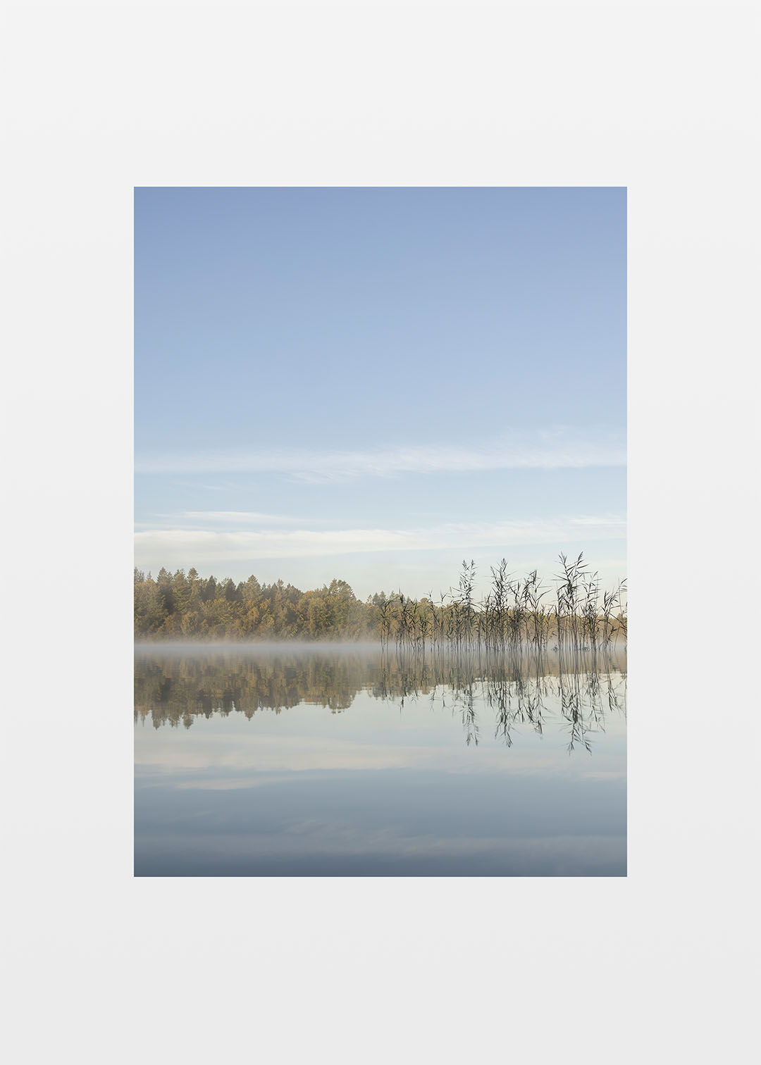 En rolig naturplakat fra Hampen Sø i Midtjylland.