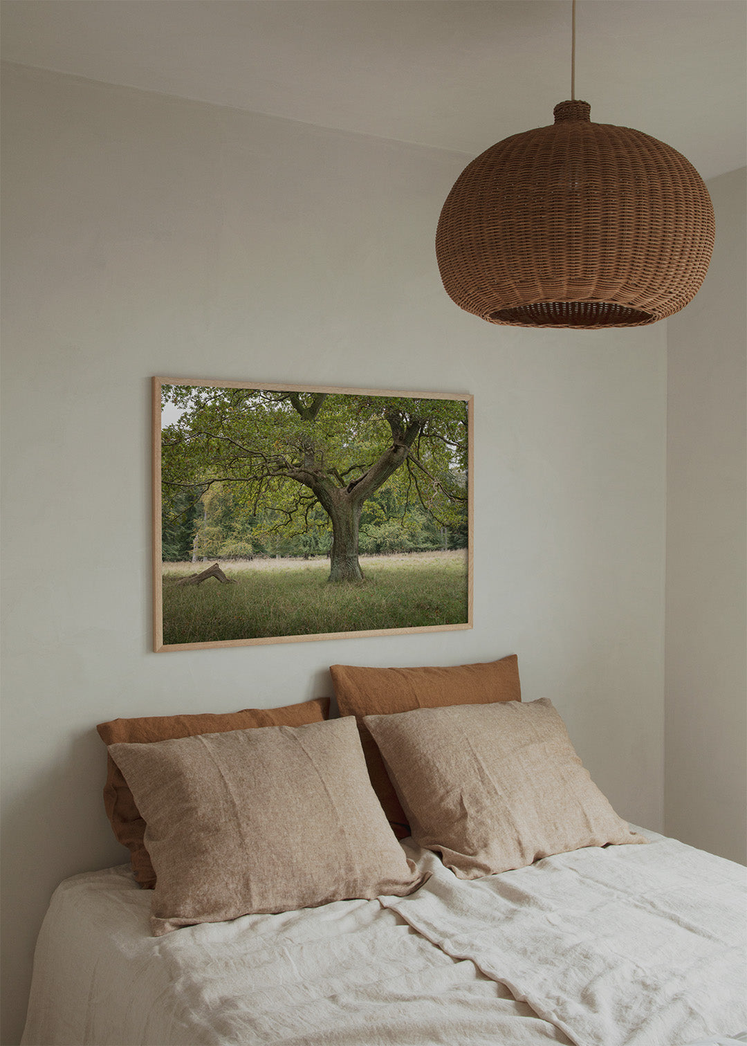 Eg plakat med et gammelt egetræ